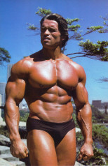 Arnold Schwarzenegger фото №86465